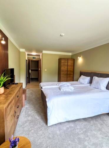 room_IMG_8367
